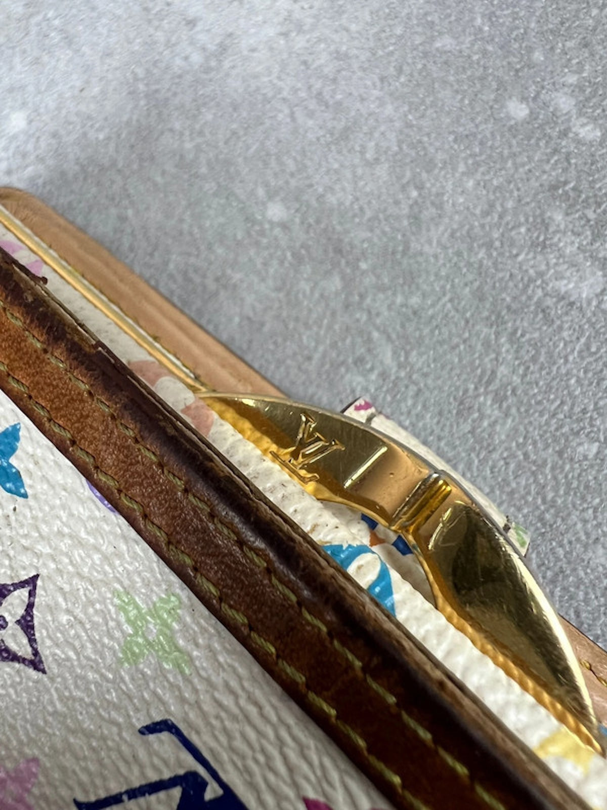 Louis Vuitton Multicolor Portemonnaie