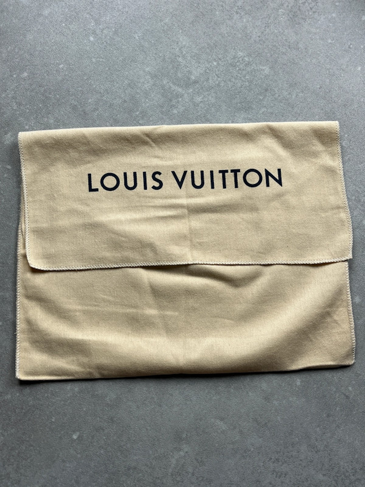 Louis Vuitton Neverfull Monogram Pochette