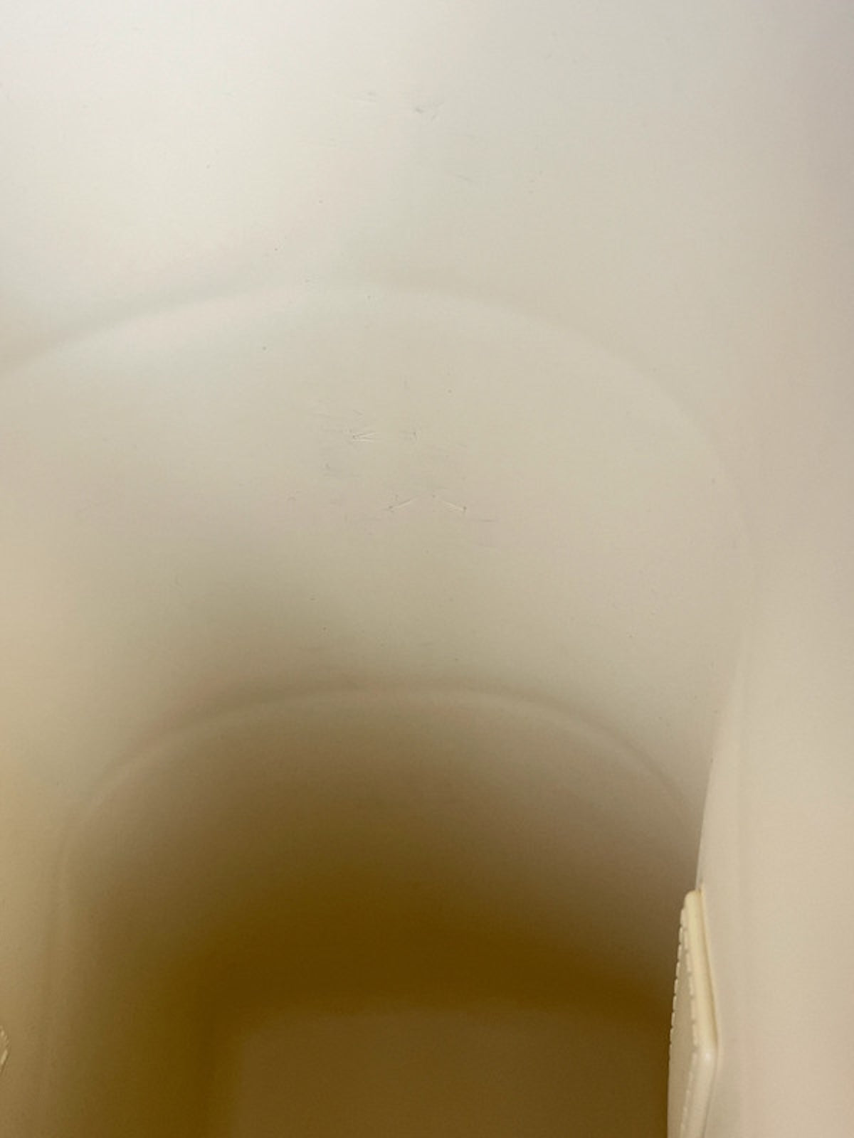 Bottega Veneta Arco Tote