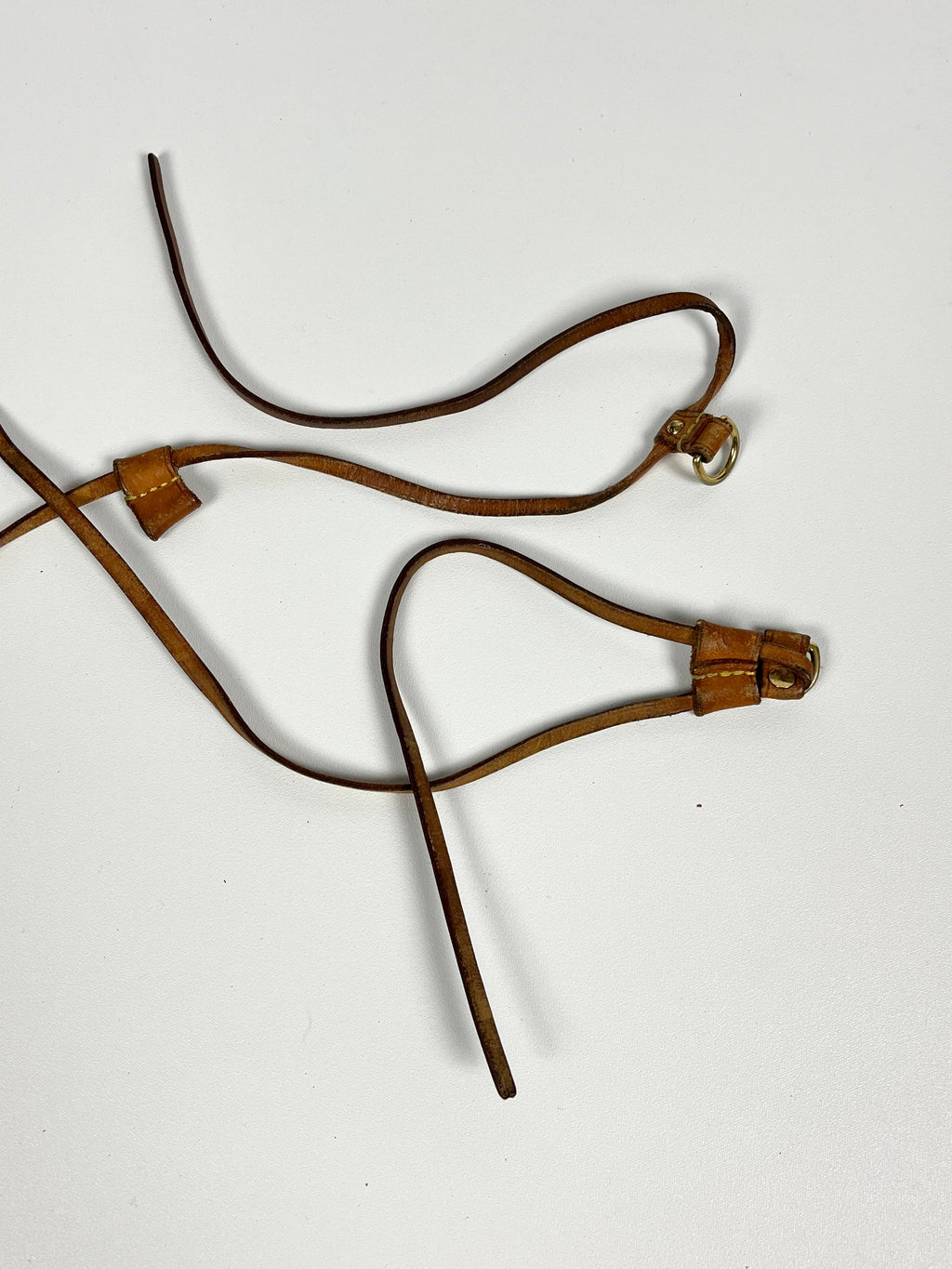 Louis Vuitton Neverfull Shopper